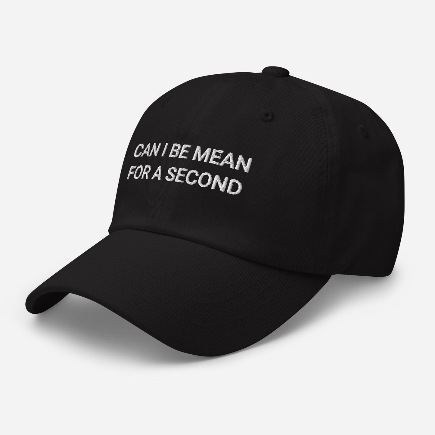 Funny Embroidered Dad Hat - Sarcastic Adjustable Baseball Cap