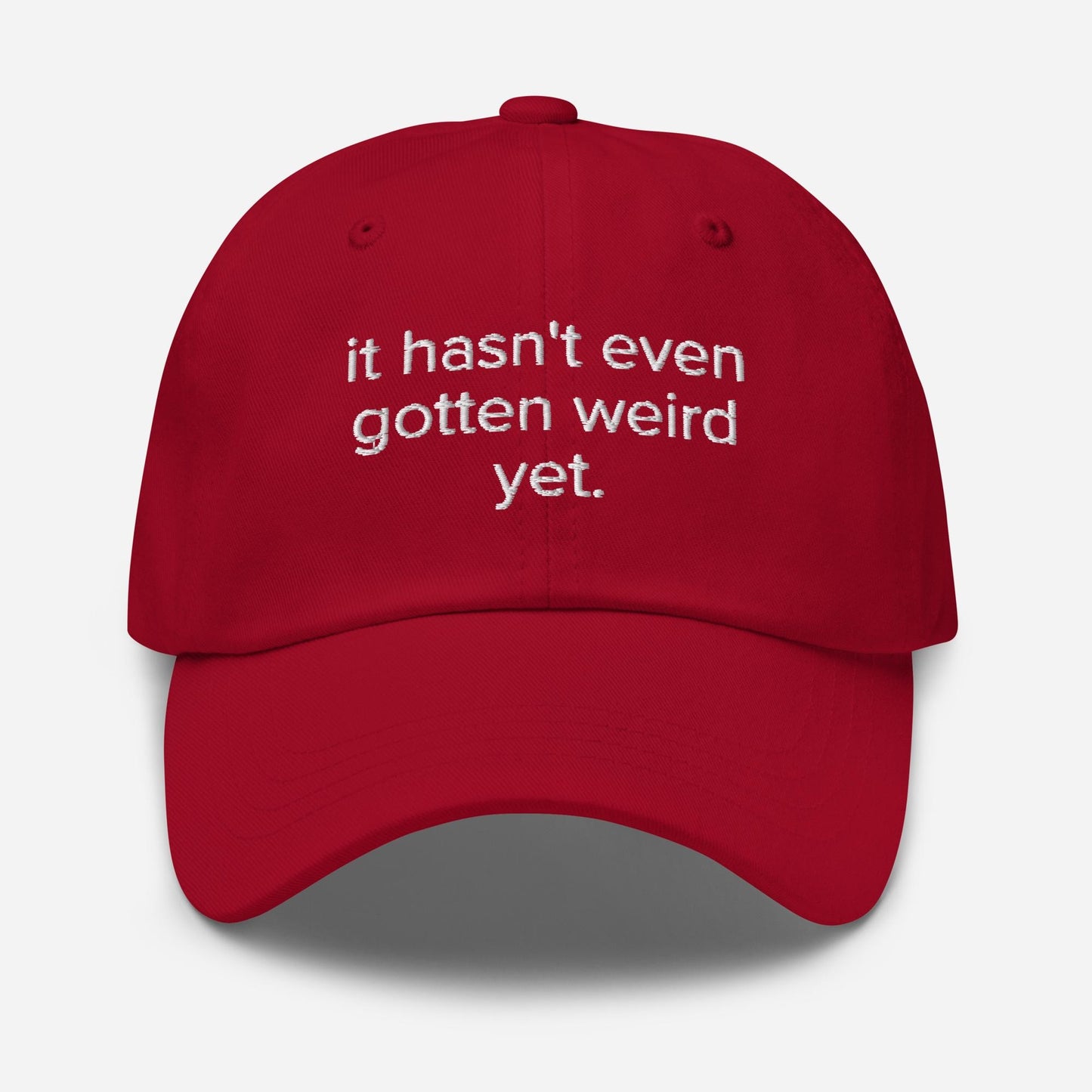 Embroidered Dad Hat - Funny Antisocial Summer Cap