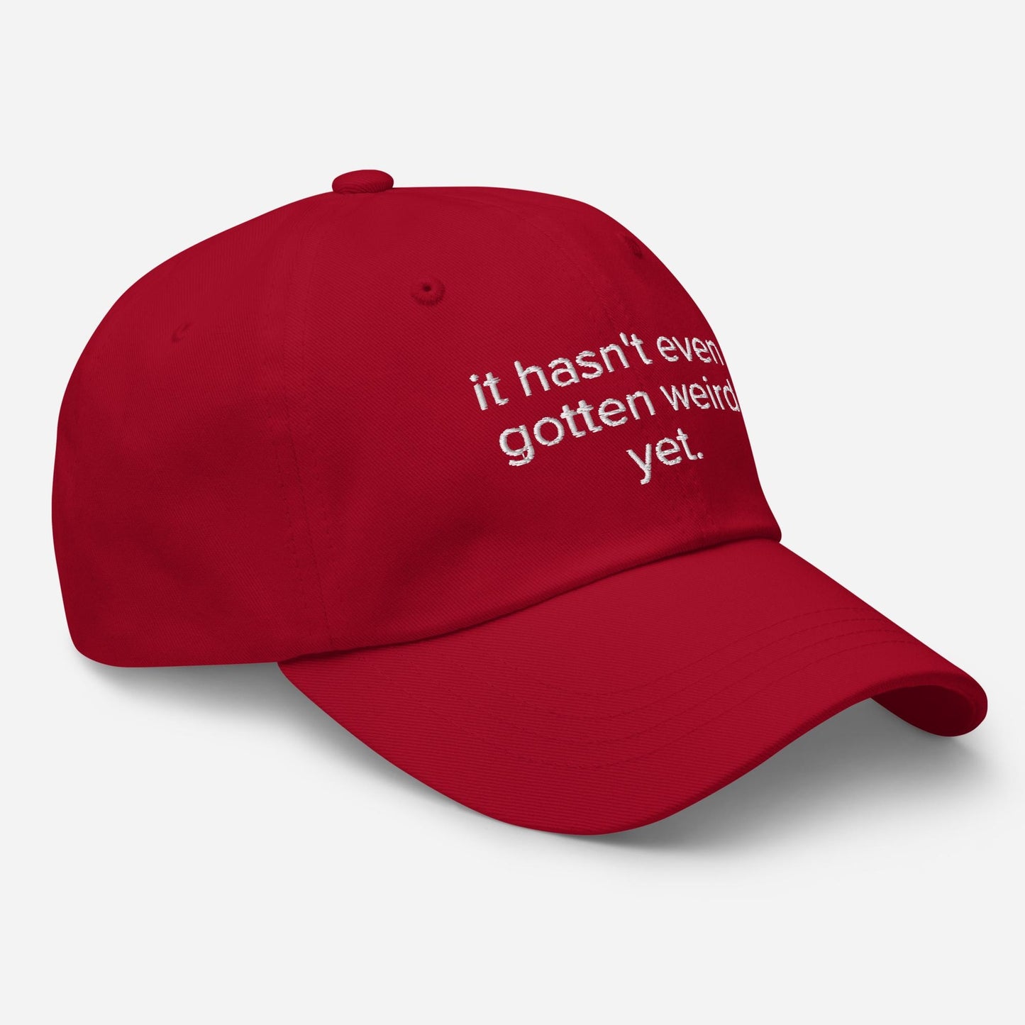 Embroidered Dad Hat - Funny Antisocial Summer Cap
