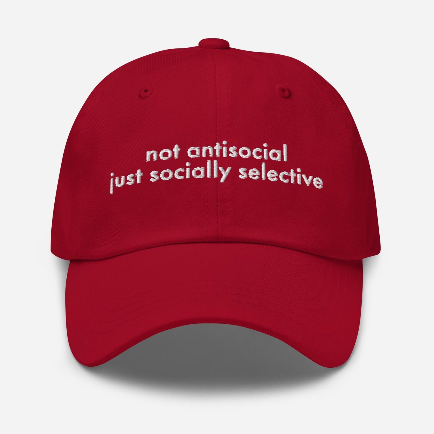 Funny Embroidered Dad Hat - Sarcastic Adjustable Cap for Gag Gifts