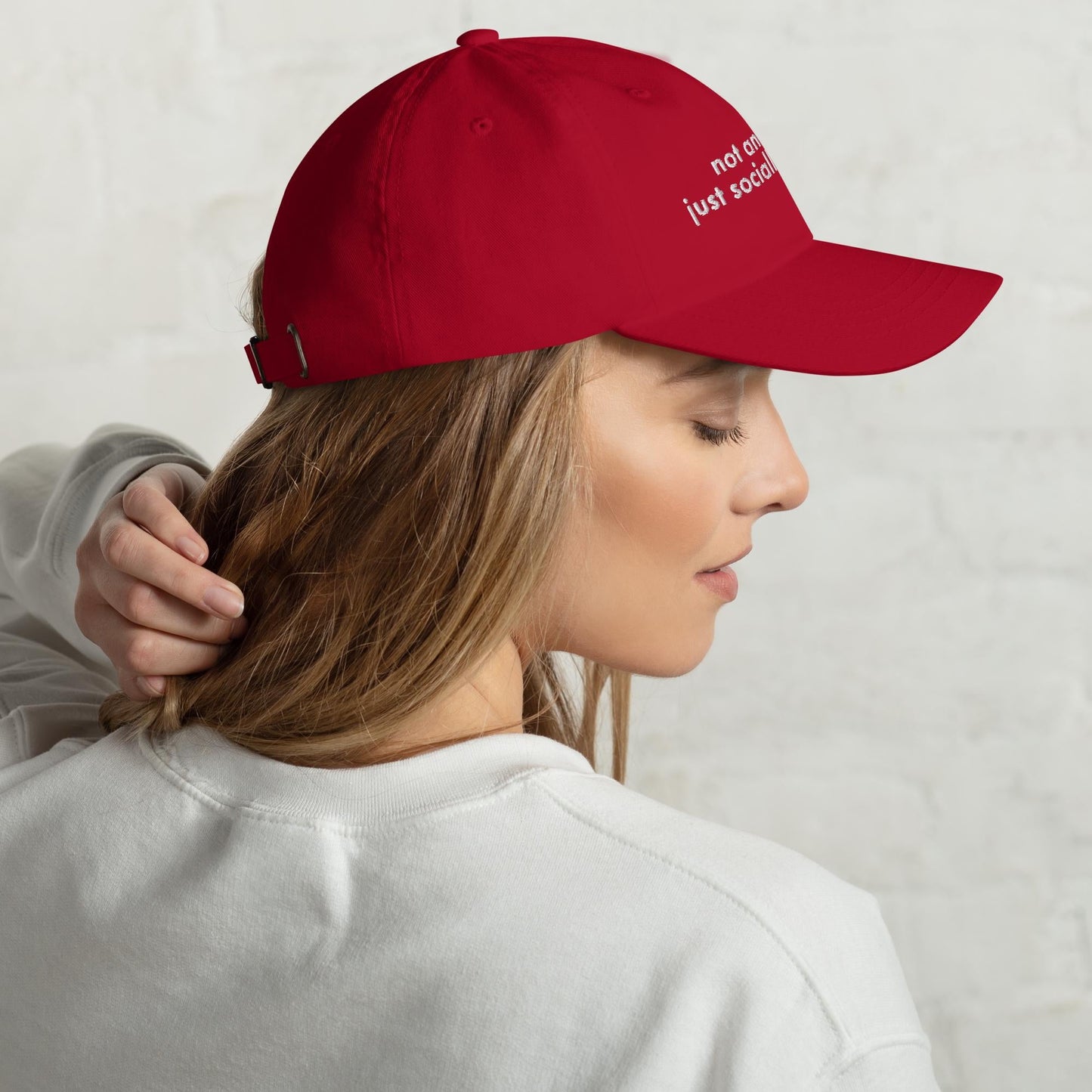 Funny Embroidered Dad Hat - Sarcastic Adjustable Cap for Gag Gifts