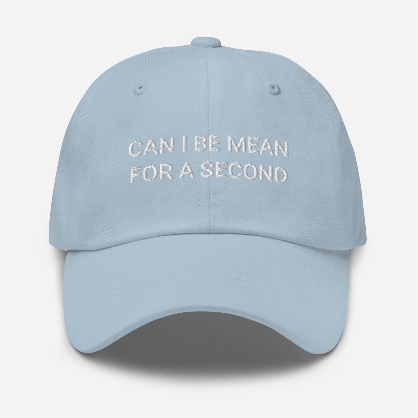 Funny Embroidered Dad Hat - Sarcastic Adjustable Baseball Cap