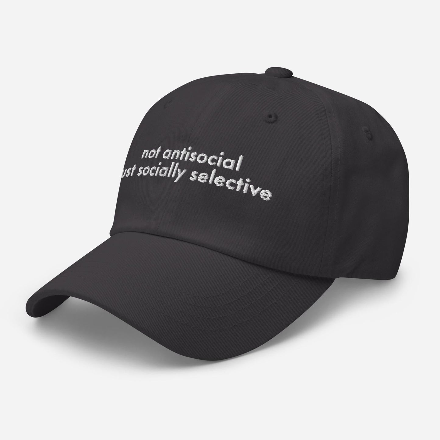 Funny Embroidered Dad Hat - Sarcastic Adjustable Cap for Gag Gifts