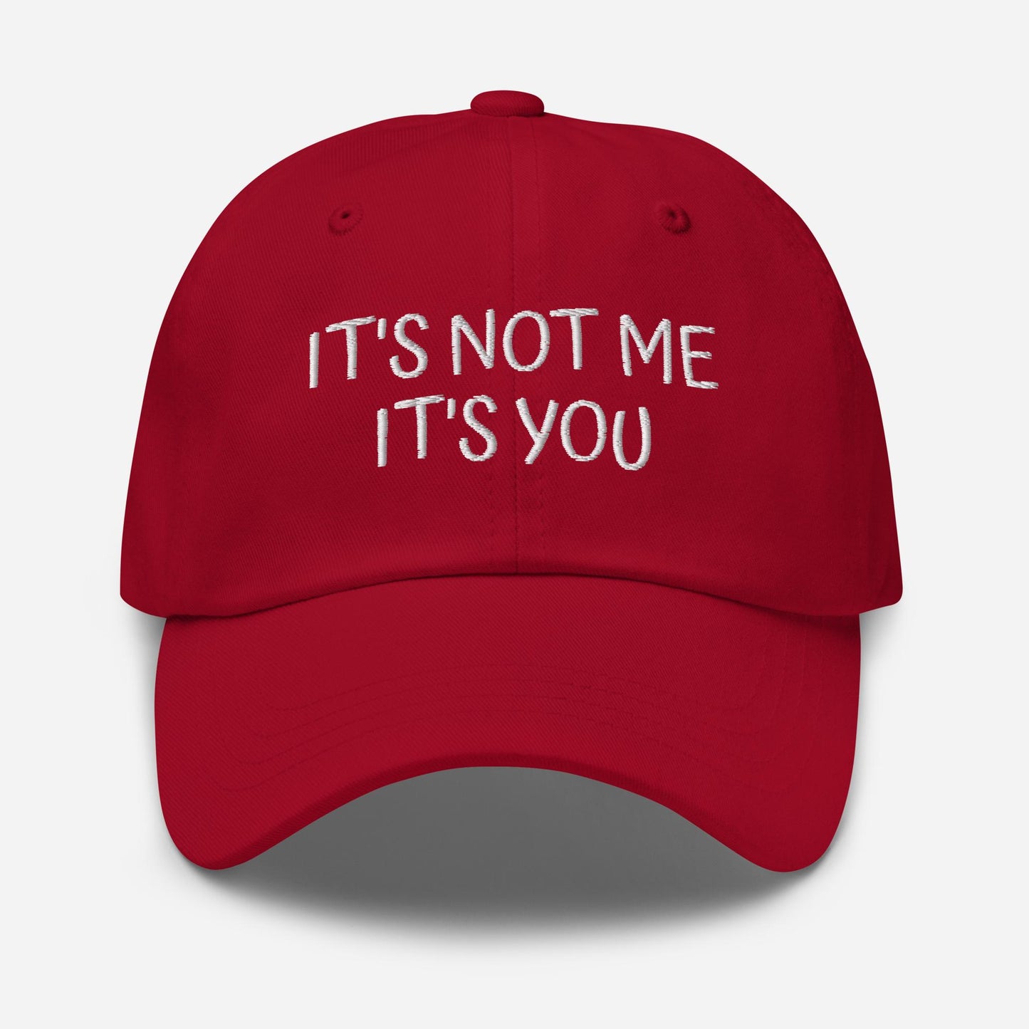 Funny Embroidered Dad Hat - Sarcastic Sassy Baseball Cap