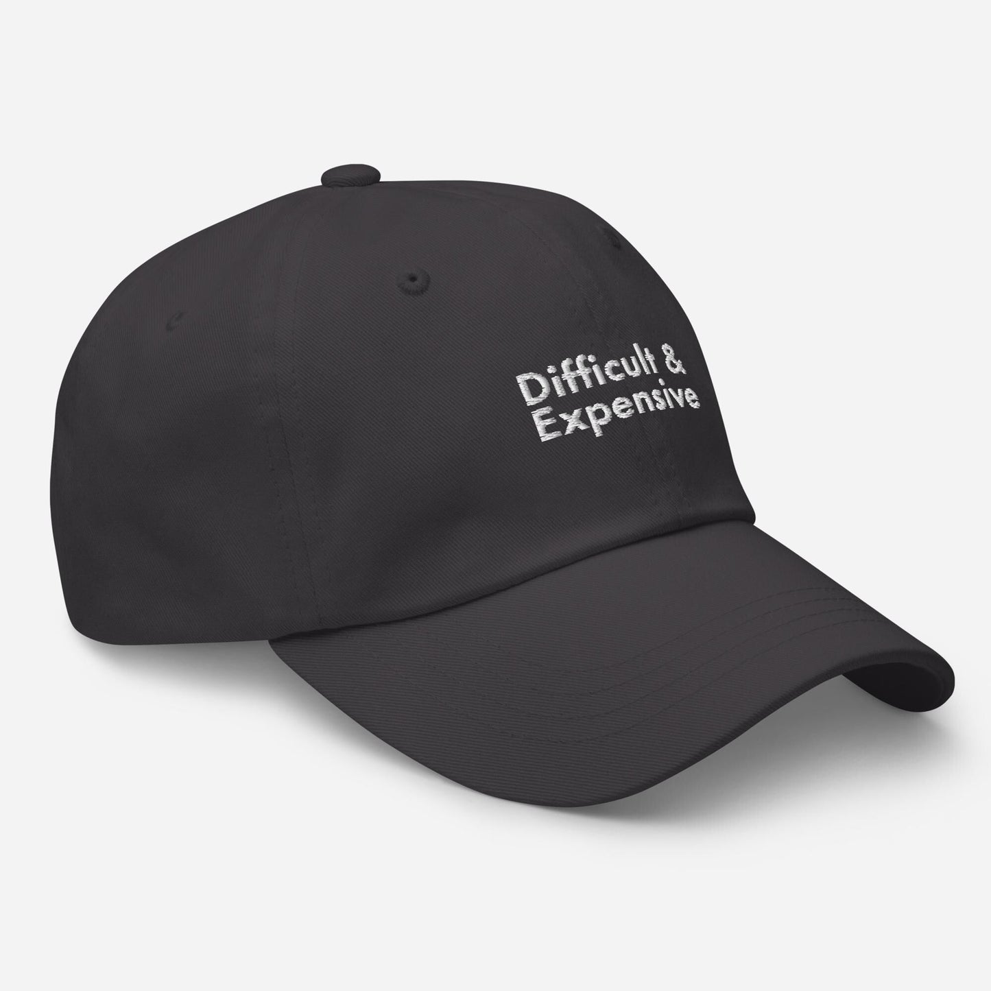 Funny Embroidered Dad Hat - Sarcastic Adjustable Baseball Cap
