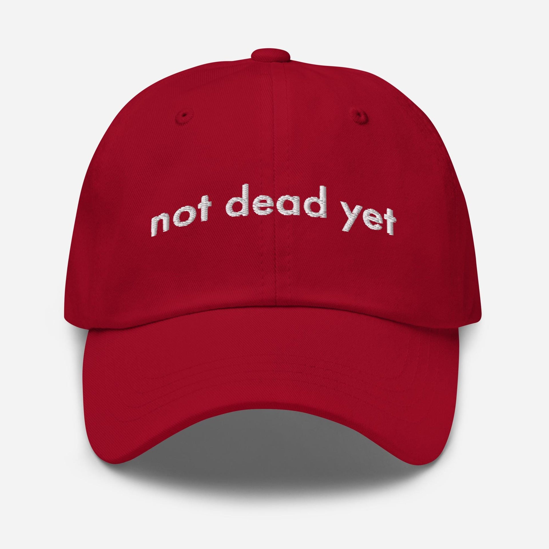 Embroidered Hat, Funny Hat, Sarcastic Hat, Not Dead Yet Cap, Adjustable Dad Hat, Humor Baseball Cap, Gag Gift, Trendy Hat