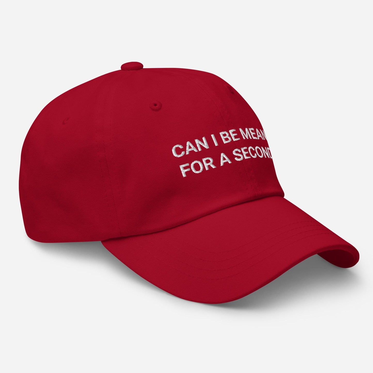 Funny Embroidered Dad Hat - Sarcastic Adjustable Baseball Cap