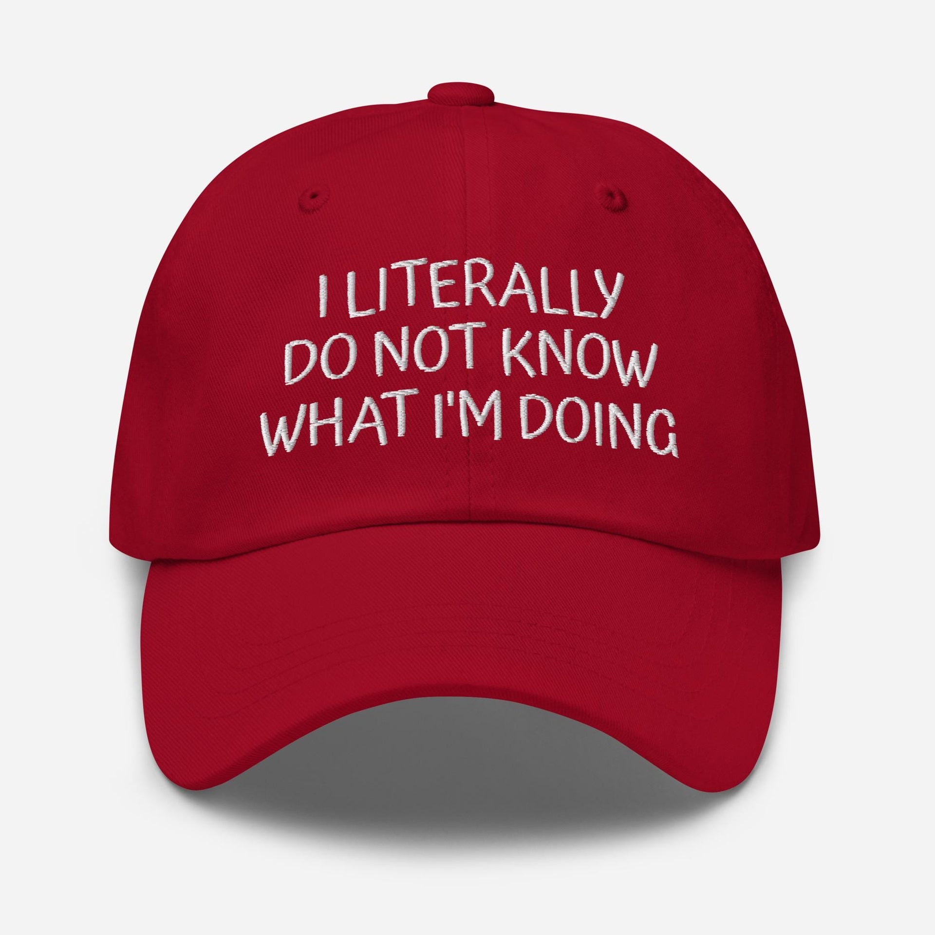 Funny Embroidered Dad Hat: I Literally Don't Know What I'm Doing